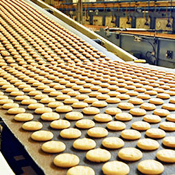 Industrial baking conveyer